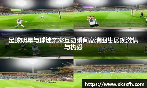 BB贝博艾弗森体育