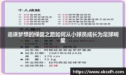 追逐梦想的绿茵之路如何从小球员成长为足球明星